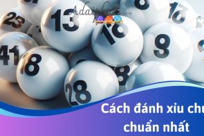 Xỉu chủ là gì? 3+ Cách soi cầu xỉu chủ đánh dễ trúng nhất