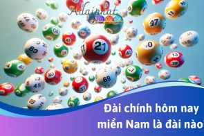 Đài chính hôm nay là đài nào – Phân biệt đài chính & đài phụ