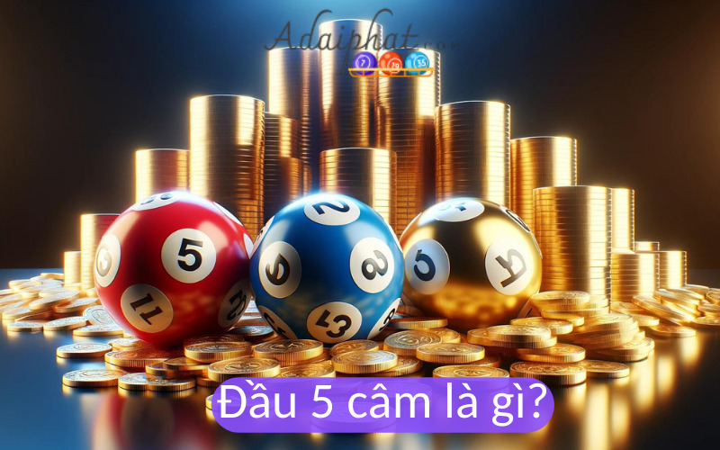 Đầu 5 câm là gì?