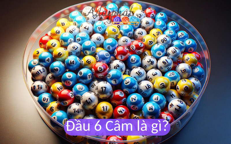 Đầu 6 Câm là gì?