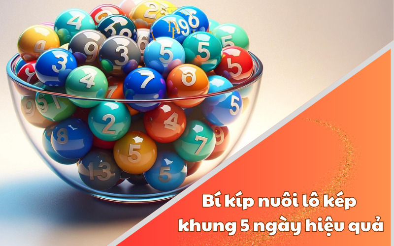 Bí kíp nuôi lô kép khung 5 ngày hiệu quả 