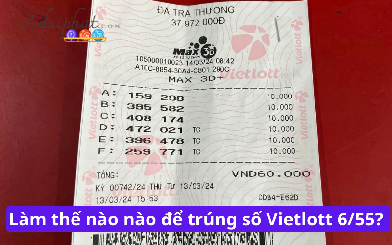 Làm thế nào nào để trúng số Vietlott 6/55? 