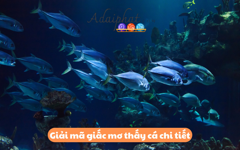 Giải mã giấc mơ thấy cá chi tiết