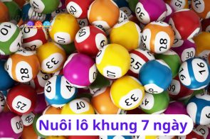 Hướng dẫn nuôi lô khung 7 ngày chính xác, hiệu quả nhất