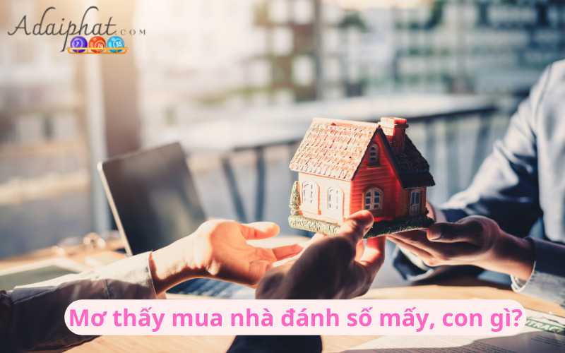 Mơ thấy mua nhà đánh số mấy, con gì?