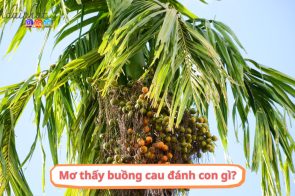 Mơ thấy buồng cau báo hiệu điều gì, nên đánh con gì?