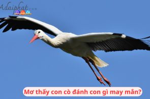 Mơ thấy cò là điềm lành hay dữ? Nên đánh con gì?