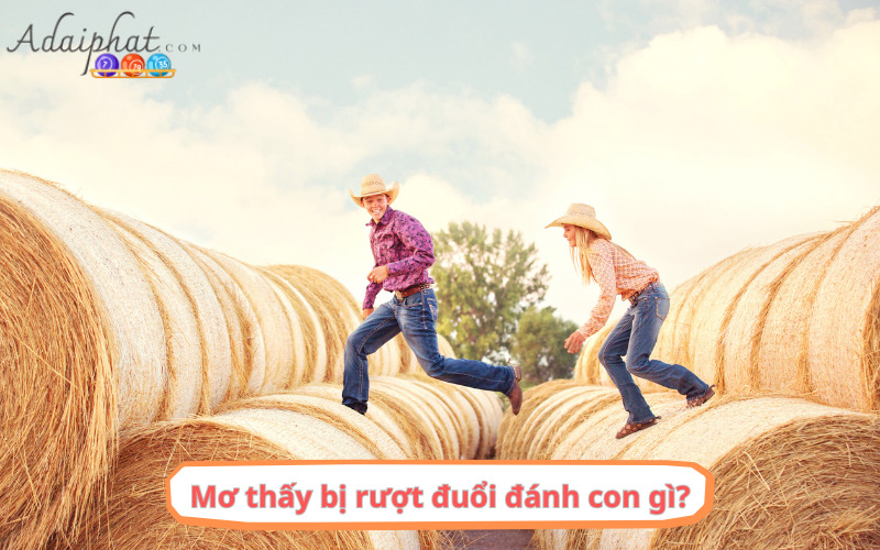 Mơ thấy bị rượt đuổi đánh con gì?