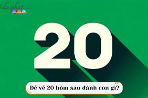 Đề về 20 hôm sau đánh con gì? Gợi ý con số may mắn nhất hôm nay