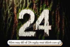 Đề về 24 hôm sau đánh con gì để trúng lớn?