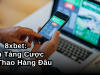 8xbet: Nền Tảng Cược Thể Thao Hàng Đầu