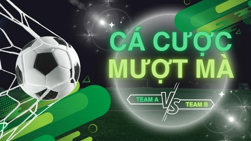  So sánh kèo châu Á, châu Âu, tài xỉu trên giao diện HUBET.