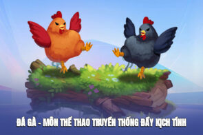 Đá Gà Ok365 – Khuynh Đảo Môn Thể Thao Truyền Thống Đầy Kịch Tính